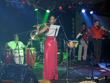 anklicken zum Vergr��ern - click to enlarge